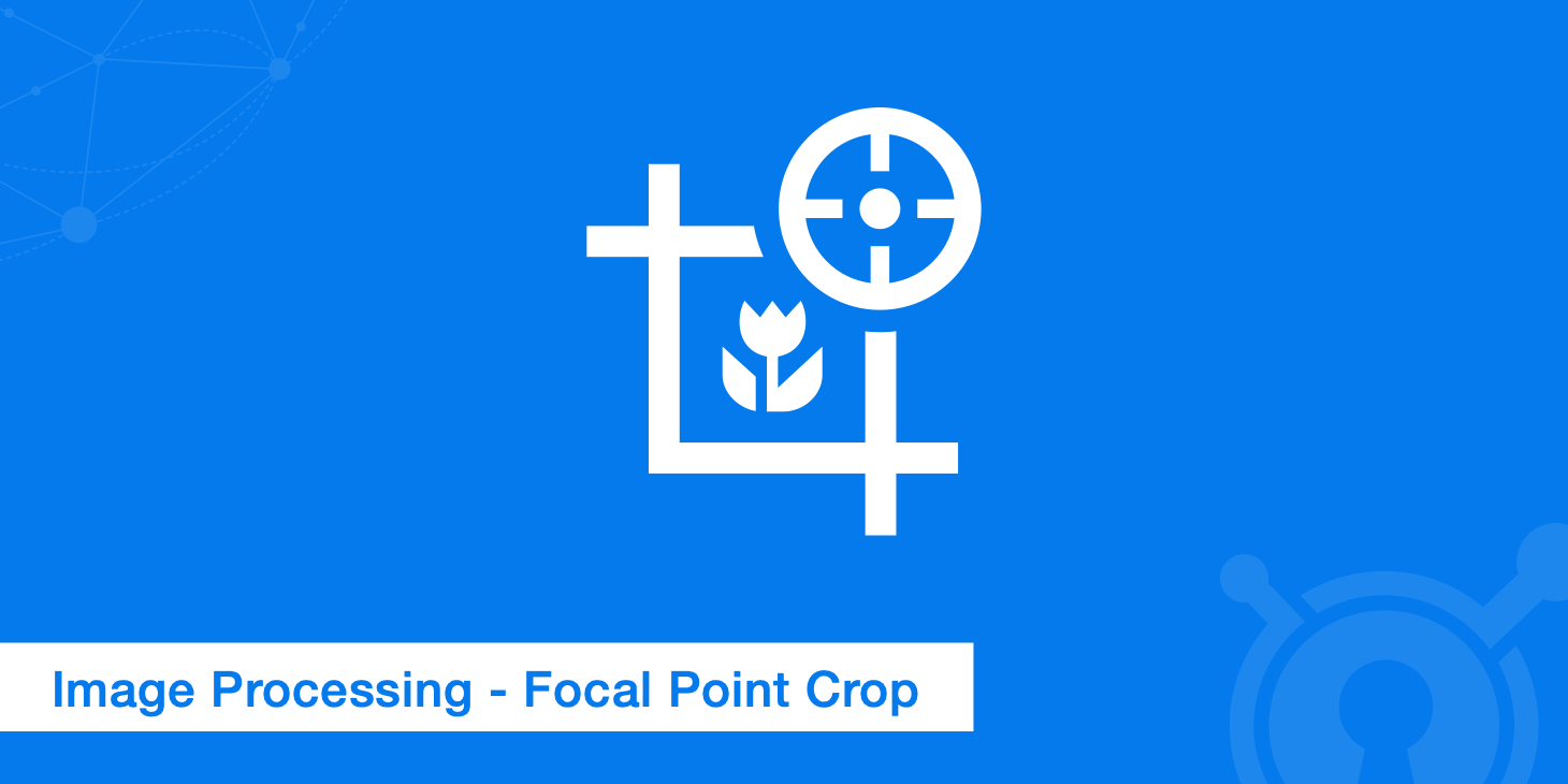Image Processing Supports Focal Point Crop