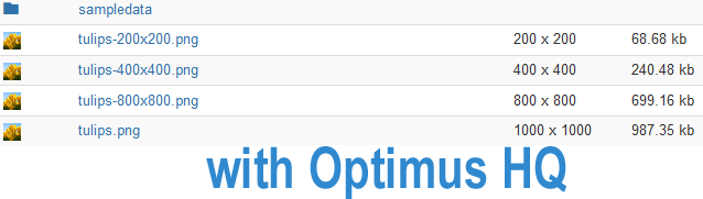 after optimus image compression
