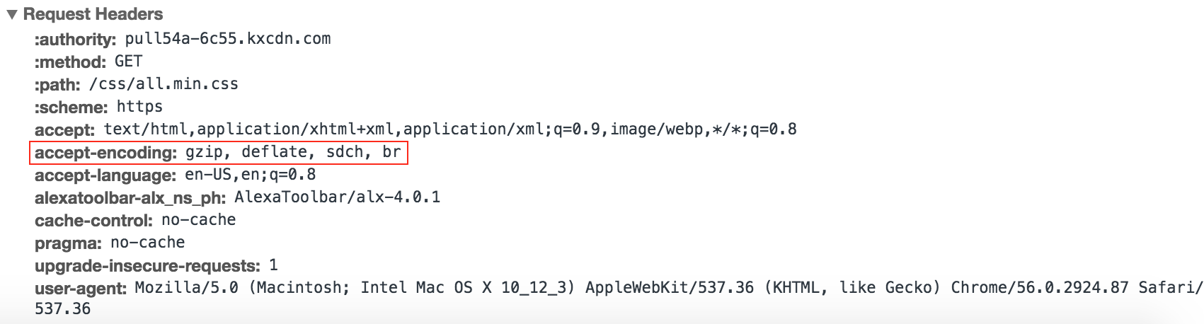 brotli accept encoding