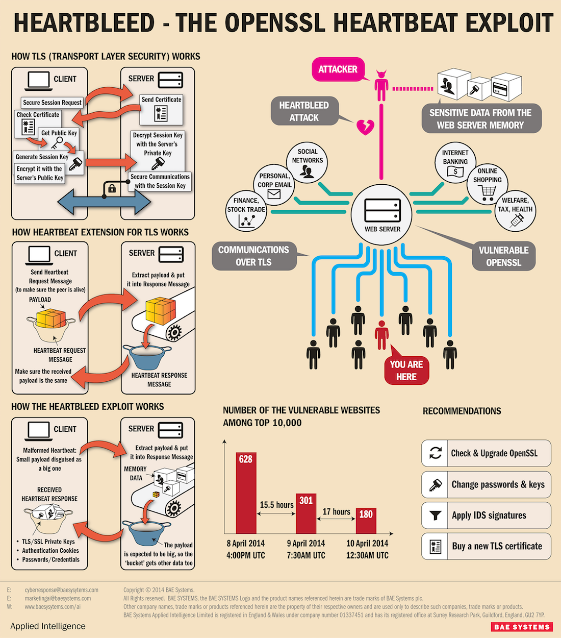 heartbleed bug infographic