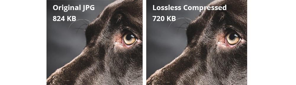 lossless comparison photos