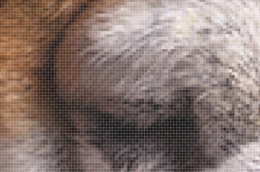 bitmap pixels