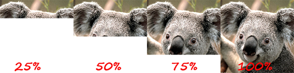 Baseline JPEG Example
