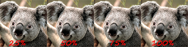 Progressive JPEG Example