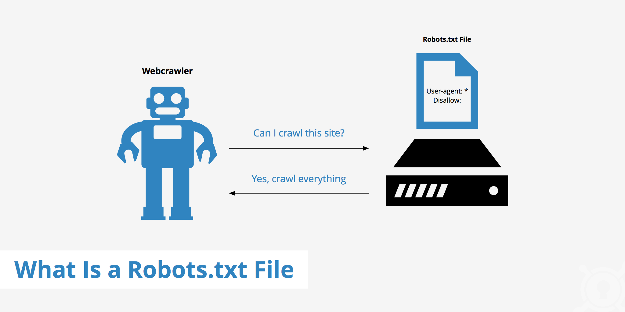 ekstremt Professor Han What Is a Robots.txt File - KeyCDN Support