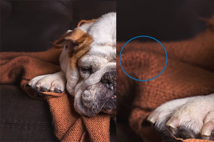 upscale image sample blurry