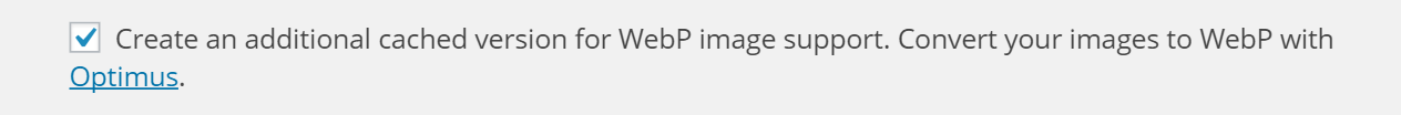 webp support caching