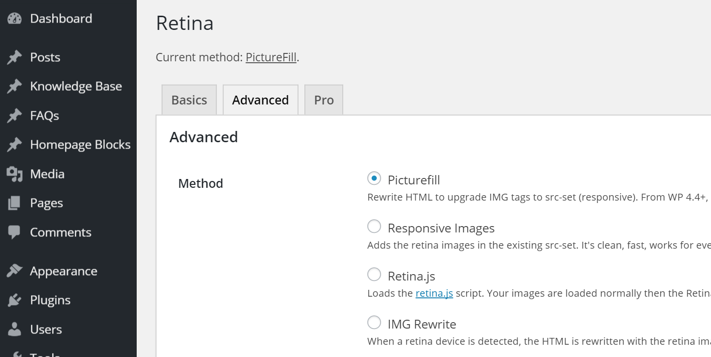 wp retina picturefill